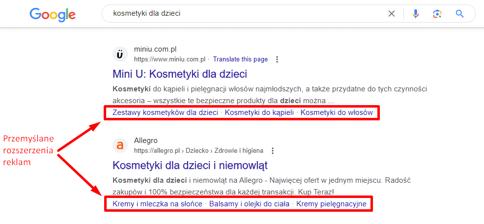 Zdj 6. Rozszerzenia reklam Google Ads.
