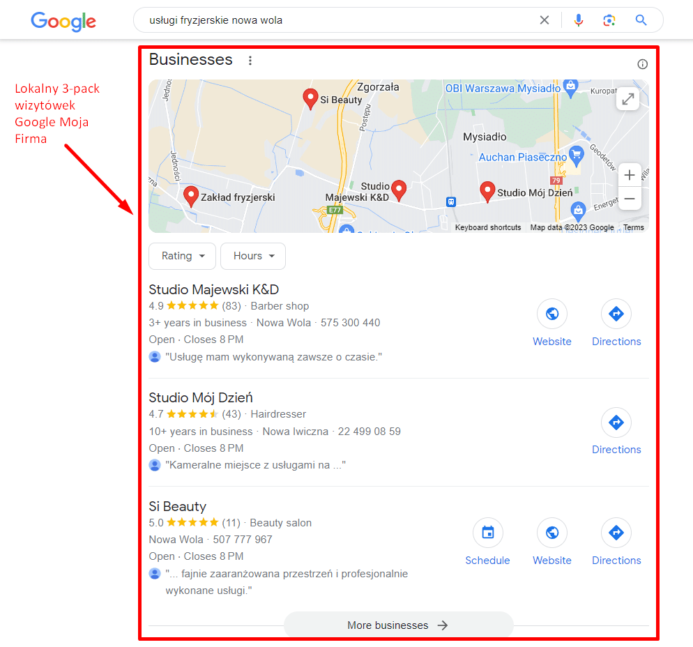Zdj 1. Lokalny 3-pack wizytówek Google Moja Firma.