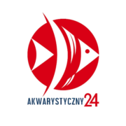 Logo akwarystyczny24