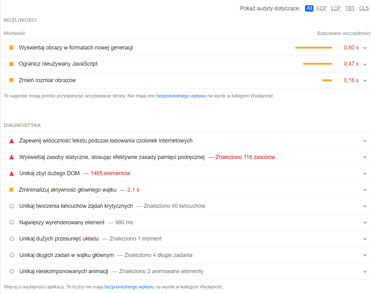 Zdj 5. Rekomendacje PageSpeed Insights.