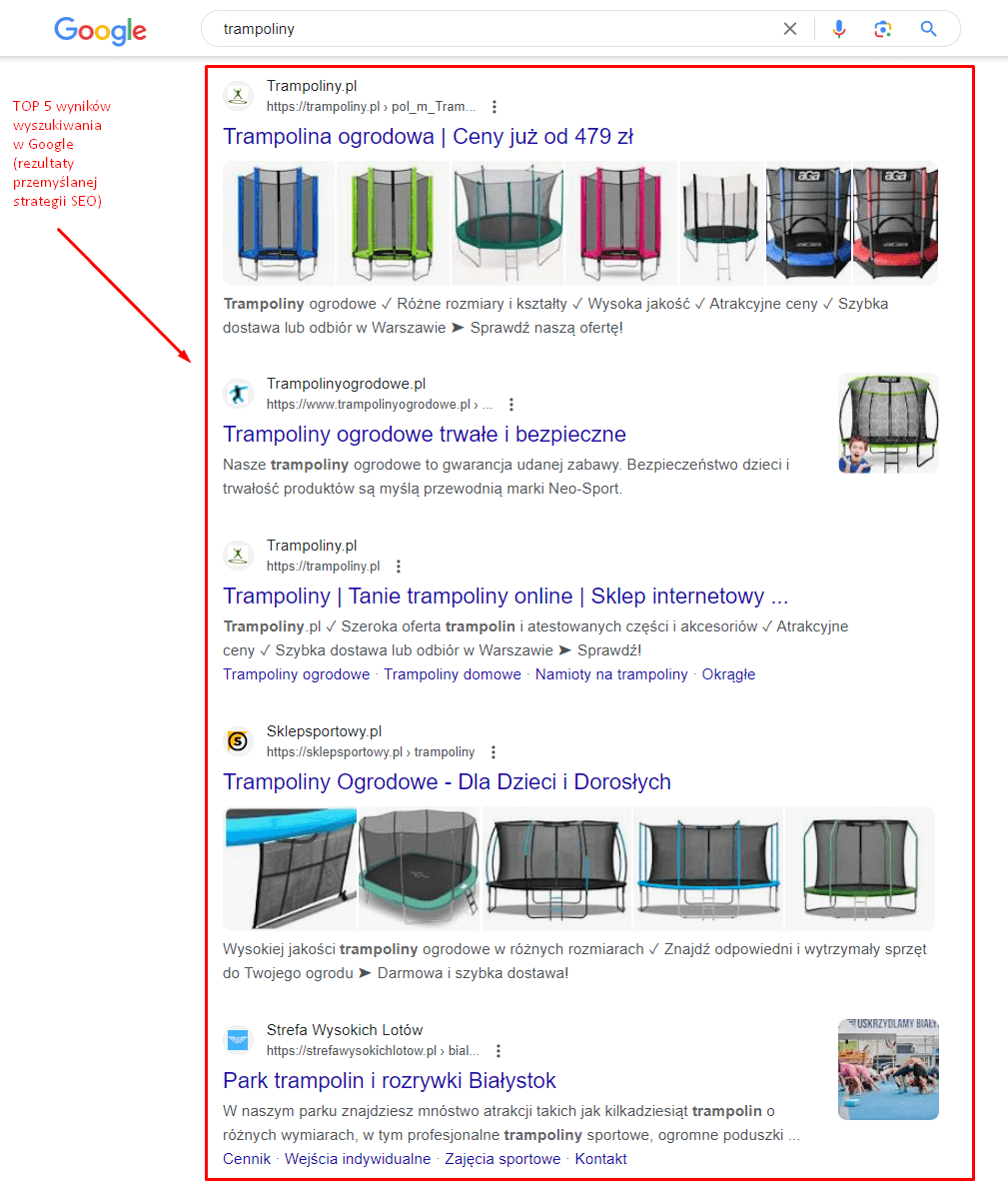 Zdj 1. Rezultaty pozycjonowania – TOP 5 w organicznych wynikach wyszukiwania Google. Źródło: www.google.com