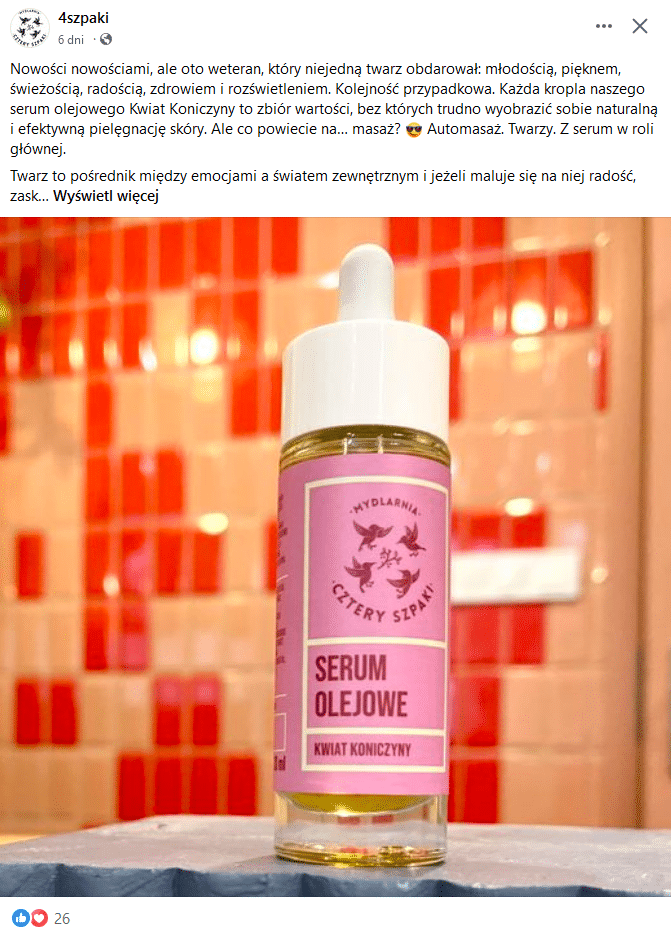 Zdj 4. Reklama sponsorowana (zasięgowa) Facebook Ads – przykład na bazie 4szpaki.