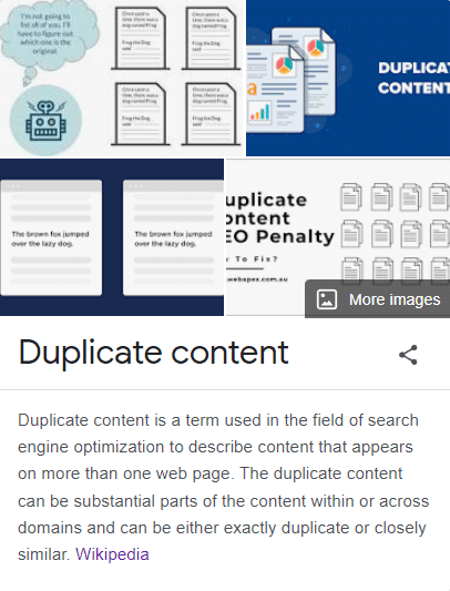 Zdj 1. Uzupełniająca definicja duplicate content.